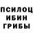 Псилоцибиновые грибы мухоморы Jukins 5