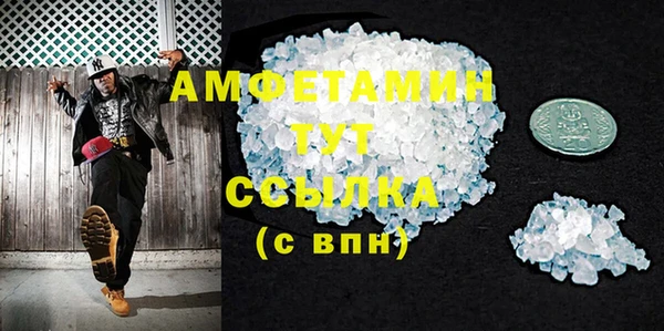прущие грибы Вязники