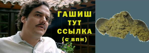 гашик Алексеевка