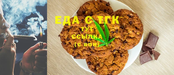 СК Алексин