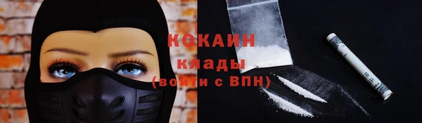 ПСИЛОЦИБИНОВЫЕ ГРИБЫ Алзамай