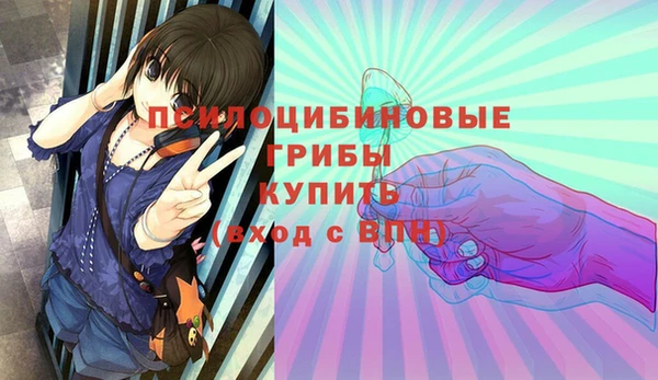 СК Алексин