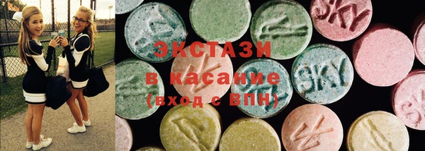 СК Алексин