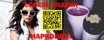 МДПВ Кингисепп