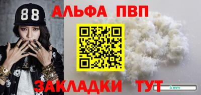 МДПВ Кингисепп