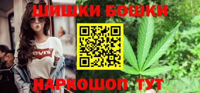 МДПВ Кингисепп
