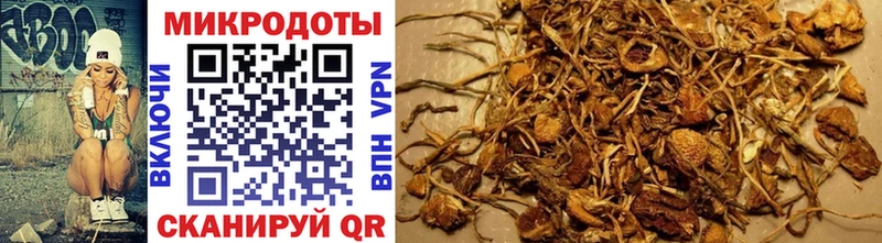 Галлюциногенные грибы Psilocybine cubensis  мега рабочий сайт  Заинск 