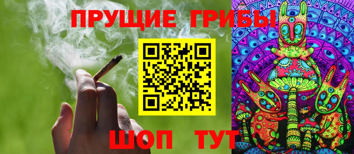 Псилоцибиновые грибы Psilocybe Заинск